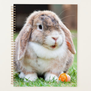 Cute lop-eared rabbit planner