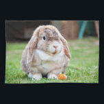 Cute lop-eared rabbit   tea towel<br><div class="desc">Cute  lop-eared rabbit. In the store,  use photos from the network that have been marked as Public Domain or CC0 and can be used for free.</div>