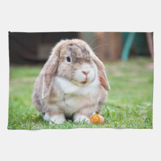 Cute lop-eared rabbit tea towel