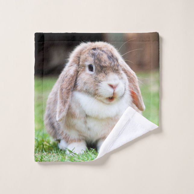 Cute lop-eared rabbit wash cloth (Wash Cloth)