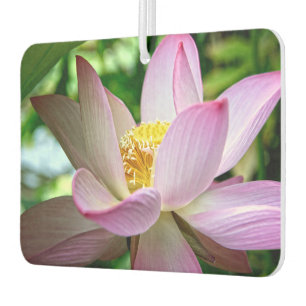 Cute lotus flowers theme car air freshener