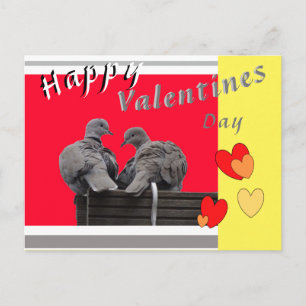 Cute Lovebirds Valentines Day Postcard