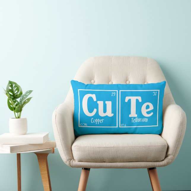 Cute Lumbar Cushion (Chair)