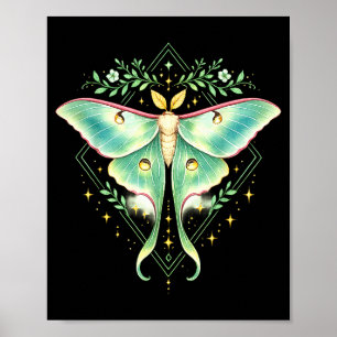 Cute luna moth beautiful butterfly insect lover poster