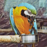 CUTE MACAW CERAMIC BALL CHRISTMAS ORNAMENT<br><div class="desc">An art design of a cute macaw.</div>
