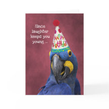 Cute Macaw Laugh to Stay Young Birthday