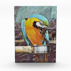 CUTE MACAW PHOTO BLOCK
