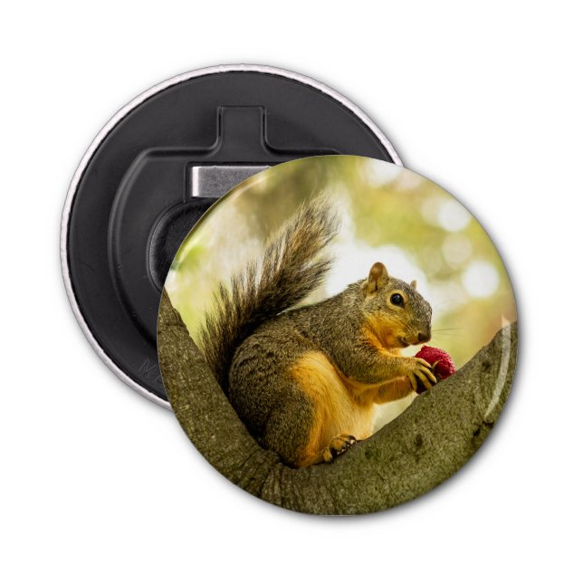 Cute Magnetic Squirrel Bottle Opener (Front)