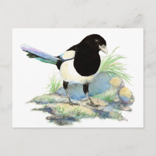 Cute Magpie - Watercolor Bird Postcard