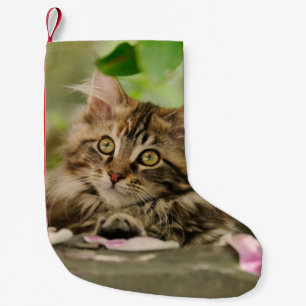 Cute Maine Coon Cat Kitten Santa mantle Small Christmas Stocking