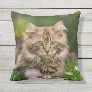 Cute Maine Coon Kitten Cat Flowers - for Outside Outdoor Cushion