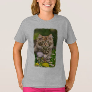 Cute Maine Coon Kitten Cat in Flower Meadow - cosy T-Shirt