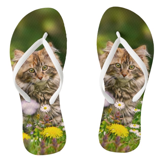 Cute Maine Coon Kitten Cat in Flower Meadow Photo Jandals (Footbed)