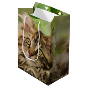 Cute Maine Coon kitten Medium Gift Bag