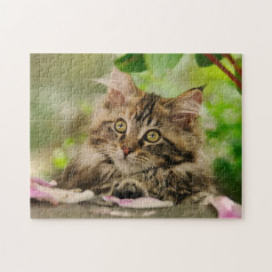 Cute Maine Coon kitten resting in a garden - Jigsaw Puzzle