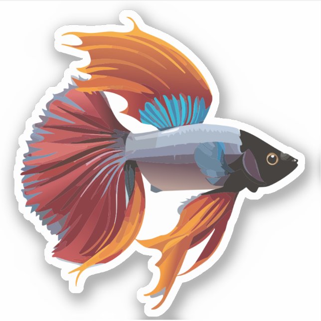 Cute Male Beta Fish Cartoon Charactor (Front)