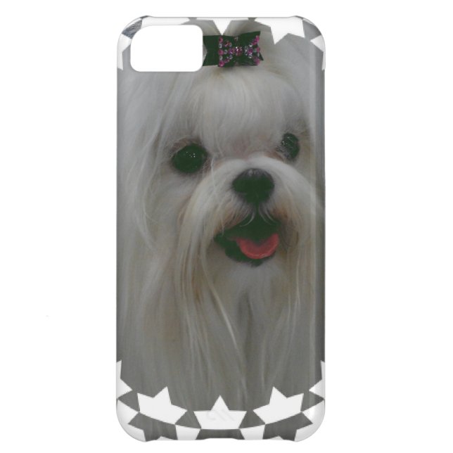 Cute Maltese Case-Mate iPhone Case (Back)