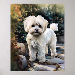 Cute Maltese Dog Art Print Poster