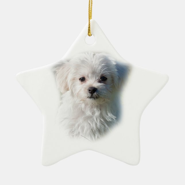 Cute Maltese Dog Ceramic Tree Decoration (Front)