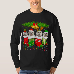 Cute Maltese Dog In Sock Christmas Santa Xmas Dog T-Shirt