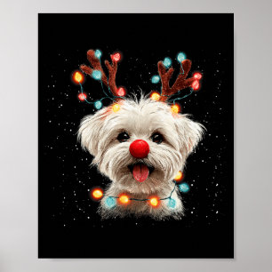 Cute Maltese Dog Reindeer Christmas Poster