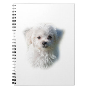 Cute Maltese Dog Spiral Notebook