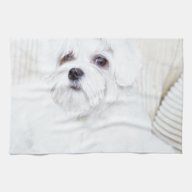 Cute Maltese Dog Tea Towel (Horizontal)