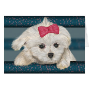Cute Maltese Dog with Creme Fur and Red Ribbon
