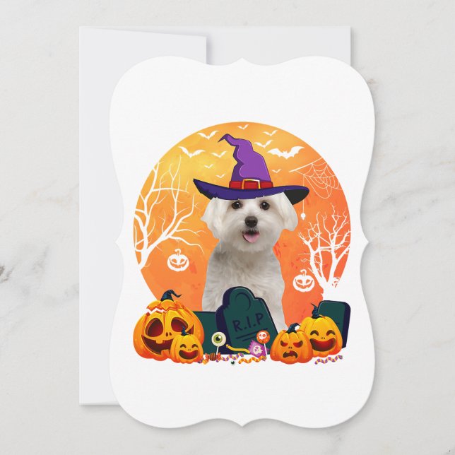 cute maltese halloween costume  dog lover  (Front)