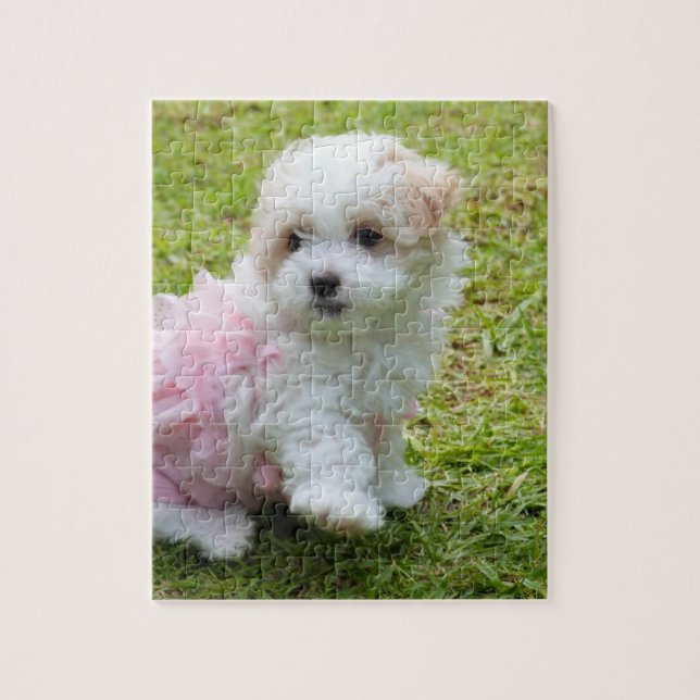 Cute Maltese Poodle Puppy Puzzle (Vertical)