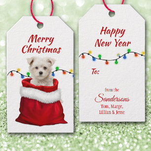 Cute Maltese Puppy in Santa Bag Gift Tags