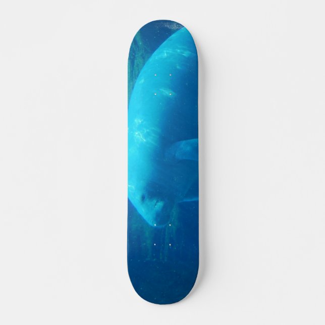 Cute Manatee Skateboard (Front)