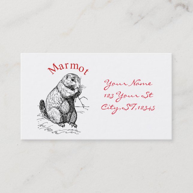 Cute Marmot Animal Thunder_Cove Business Card (Front)
