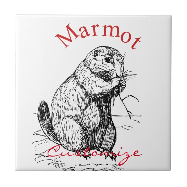 Cute Marmot Animal Thunder_Cove Tile (Front)