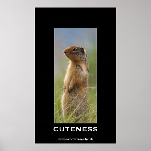 Cute Marmot  Wildlife Motivational Photo Poster (Front)