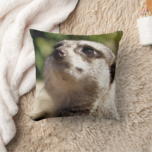 CUTE MEERKAT CUSHION