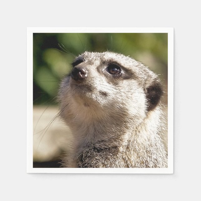 CUTE MEERKAT NAPKIN (Front)