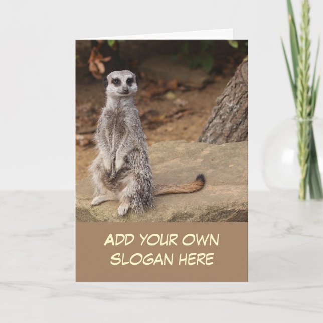 Cute Meerkat Photo to Customise Yourself Card (Front)