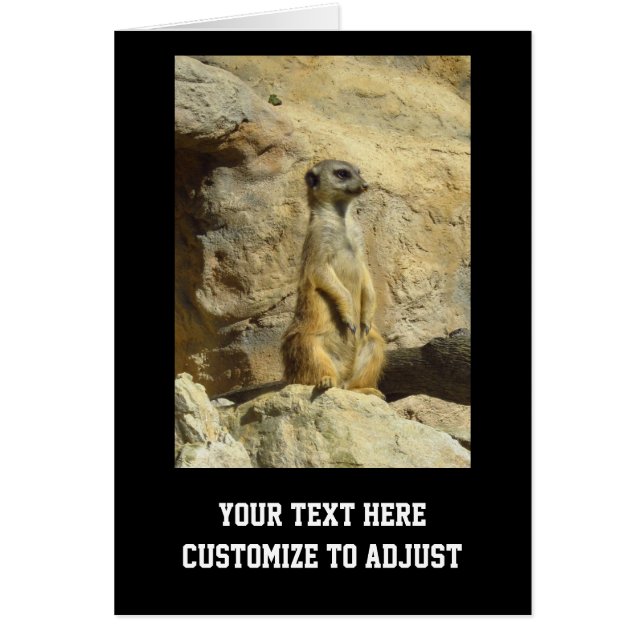 Cute meerkat photograph (Front)