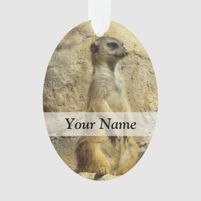 Cute meerkat photograph ornament (Front)