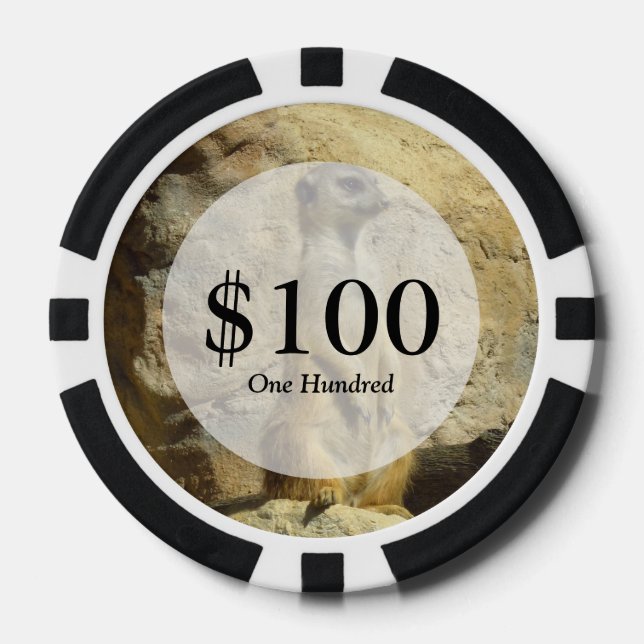 Cute meerkat photograph poker chips (Front)