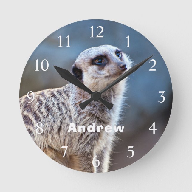 Cute Meerkat Posing Personalized Name Round Clock (Front)