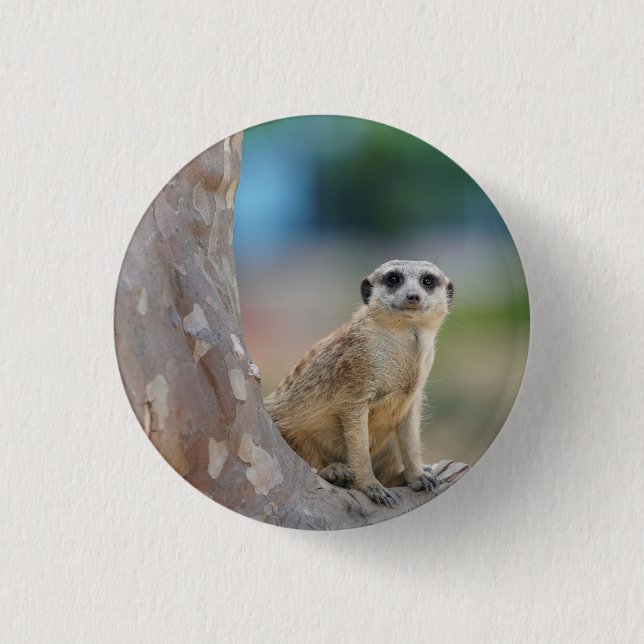 Cute Meerkat Sat on Tree 3 Cm Round Badge (Front)