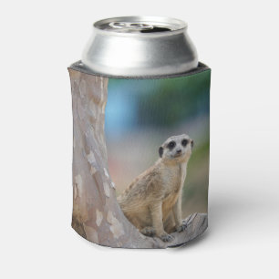 Cute Meerkat Sat on Tree Can Cooler