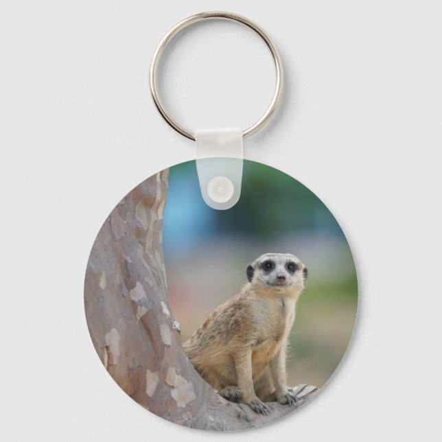 Cute Meerkat Sat on Tree Key Ring (Front)