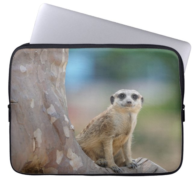 Cute Meerkat Sat on Tree Laptop Sleeve (Front)