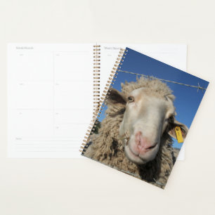 Cute Merino Sheep Head Animal Planner