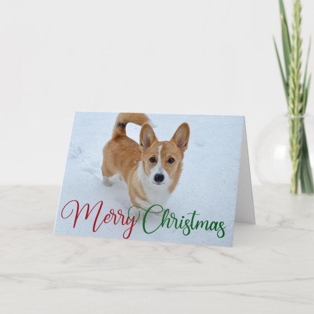 Cute Merry Christmas Corgi with Tail in Snow Photo Holiday Card (Front)