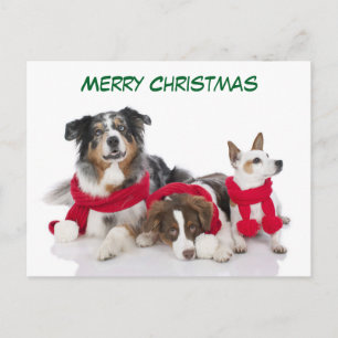 Cute Merry Christmas Dogs Holiday Postcard