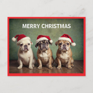 Cute Merry Christmas dogs Holiday Postcard